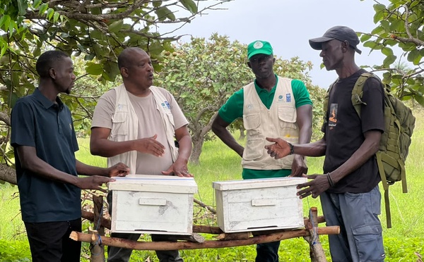 Casamance : Le PMF/FEM et l'APICEN unissent leurs forces pour promouvoir l'apiculture de mangrove et l'autonomisation des femmes à Kachouane